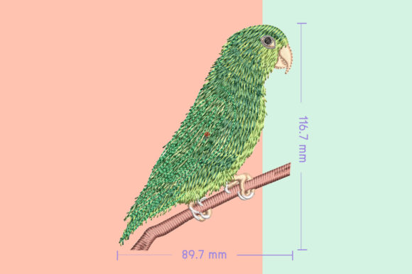 Forpus Green Cute Bird: A Designer Review for Business Merch